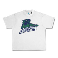 Lunar Rock florida everblades Urban Heavy Tee - DesigneFamous