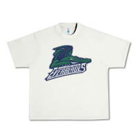 Pistachio florida everblades Urban Heavy Tee - DesigneFamous