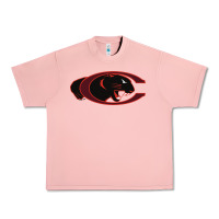 Salmon claflin, education sport Urban Heavy Tee - linhVisuals