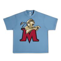 Pebble Blue lions, molloy college Urban Heavy Tee - linhVisuals