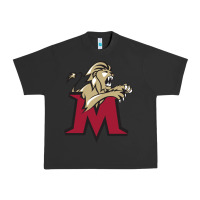 Pigment Black lions, molloy college Urban Heavy Tee - linhVisuals