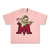 Salmon lions, molloy college Urban Heavy Tee - linhVisuals