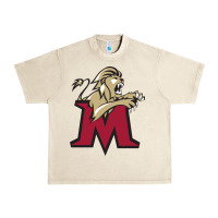 Sandshell lions, molloy college Urban Heavy Tee - linhVisuals