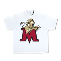 Lions, Molloy College Urban Heavy Tee | Teevron