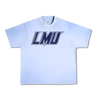 Grape Ice lincoln memorial railsplitters Urban Heavy Tee - linhVisuals