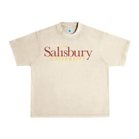 Sandshell salisbury university Urban Heavy Tee - linhVisuals