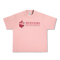 Salmon stevens institute of technology Urban Heavy Tee - linhVisuals