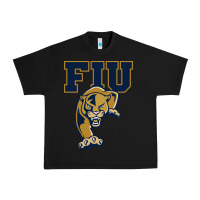 Black The fiu panthers Urban Heavy Tee - linhVisuals