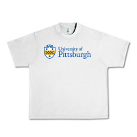Lunar Rock University of Pittsburgh Urban Heavy Tee - linhVisuals