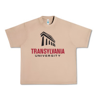 Burro transylvania university Urban Heavy Tee - linhVisuals