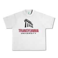 Lunar Rock transylvania university Urban Heavy Tee - linhVisuals