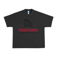 Pigment Black transylvania university Urban Heavy Tee - linhVisuals
