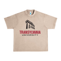 French Oak transylvania university Urban Heavy Tee - linhVisuals