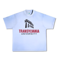 Grape Ice transylvania university Urban Heavy Tee - linhVisuals