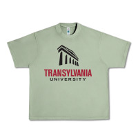 Oil Green transylvania university Urban Heavy Tee - linhVisuals