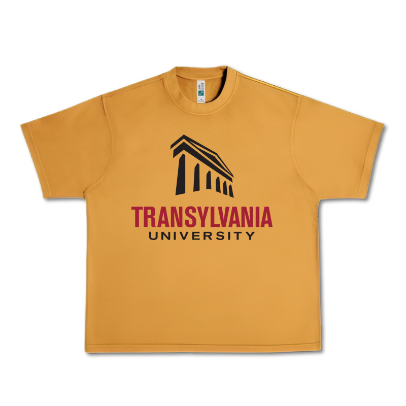 Transylvania University Urban Heavy Tee by linhVisuals | Teevron
