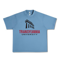 Pebble Blue transylvania university Urban Heavy Tee - linhVisuals