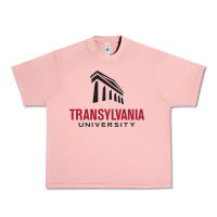 Salmon transylvania university Urban Heavy Tee - linhVisuals