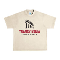Sandshell transylvania university Urban Heavy Tee - linhVisuals