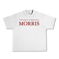 Lunar Rock university of minnesota morris Urban Heavy Tee - linhVisuals
