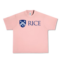 Salmon Rice University Urban Heavy Tee - linhVisuals