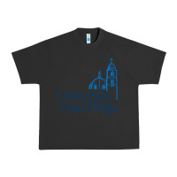Pigment Black University of San Diego Urban Heavy Tee - linhVisuals