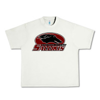 Salukis Urban Heavy Tee | Teevron
