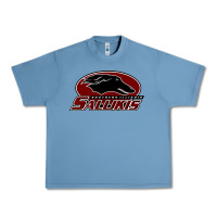 Pebble Blue salukis Urban Heavy Tee - linhVisuals