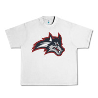 Stony Brook Seawolves Urban Heavy Tee | Teevron