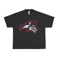 Pigment Black stony brook seawolves Urban Heavy Tee - linhVisuals