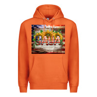 Carrot patriotic yaya tumbler Premium Hoodie - BarkalooDesign