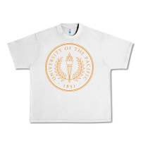 Lunar Rock University of the Pacific Urban Heavy Tee - linhVisuals