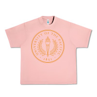 Salmon University of the Pacific Urban Heavy Tee - linhVisuals