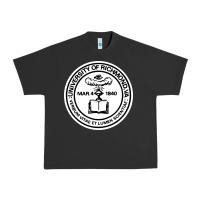 Pigment Black University of Richmond Urban Heavy Tee - linhVisuals