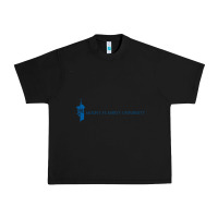 Black The mount st mary's university Urban Heavy Tee - linhVisuals