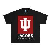 Black jacobs, school of music Urban Heavy Tee - linhVisuals