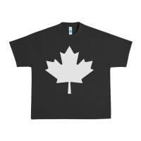 Pigment Black canada maple Urban Heavy Tee - linhVisuals