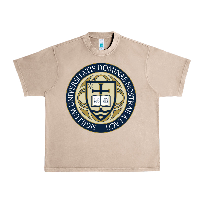 University Dame Urban Heavy Tee by linhVisuals | Teevron