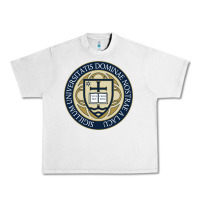 Lunar Rock university dame Urban Heavy Tee - linhVisuals