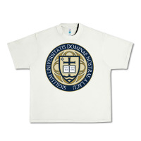 Pistachio university dame Urban Heavy Tee - linhVisuals