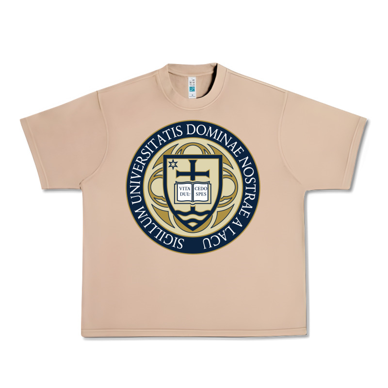 University Dame Urban Heavy Tee by linhVisuals | Teevron
