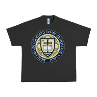Pigment Black university dame Urban Heavy Tee - linhVisuals