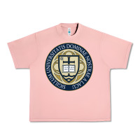 Salmon university dame Urban Heavy Tee - linhVisuals