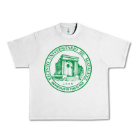 Lunar Rock upr at mayaguez Urban Heavy Tee - linhVisuals