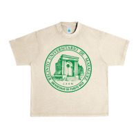 Sandshell upr at mayaguez Urban Heavy Tee - linhVisuals