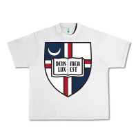 Lunar Rock university catholic Urban Heavy Tee - linhVisuals