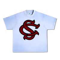 Grape Ice usc baseball Urban Heavy Tee - linhVisuals