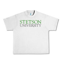 Lunar Rock Stetson University Urban Heavy Tee - linhVisuals