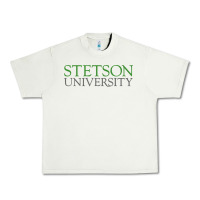 Pistachio Stetson University Urban Heavy Tee - linhVisuals