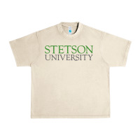 Sandshell Stetson University Urban Heavy Tee - linhVisuals